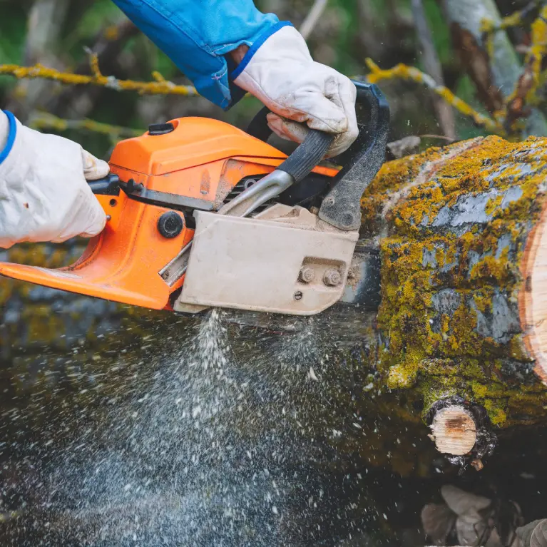 about 2 A person in gloves operates a chainsaw on a moss-covered log, with sawdust flying as the blade cuts through the wood.