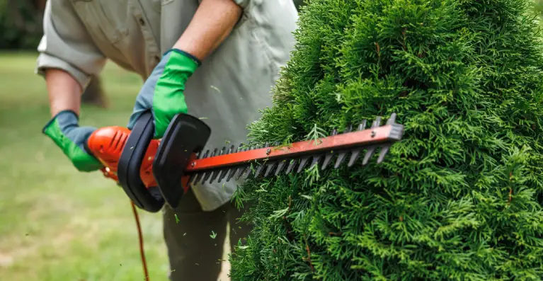 about 4 A person in gloves operates a chainsaw on a moss-covered log, with sawdust flying as the blade cuts through the wood.